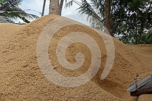 Pile of empty rice hulls after the rice husking process. The blower blows bio-waste to the pile behind the workshop.