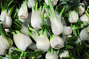 Pile of fennel at market stall
