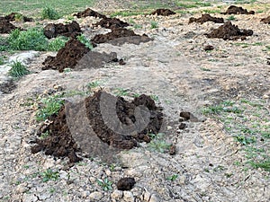 A pile of fertilizer on farmland. Loosened earth on the field. Sowing crops