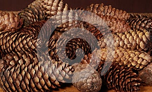Pile of fir tree strobiles on the table