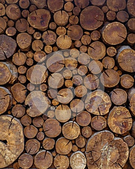 Pile of Fire Wood Stack in Random Order