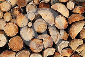 Pile of firewood