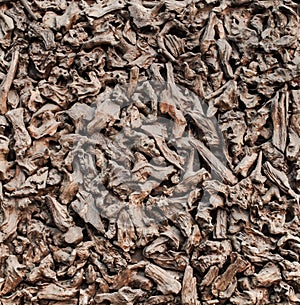 Pile Firewood close-up. Slivers. Texture chips