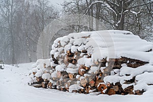 A pile of firewood covered with snow lies by the road in the forest. Freshly Cut Logs And Firewood From Loggers