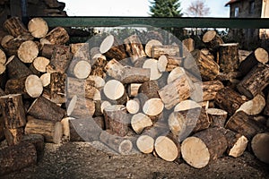 Pile of firewood on a heap. Coniferous and deciduous stacks of firewood.