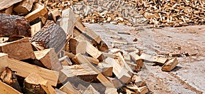 Pile of firewood lies on concrete outdoor