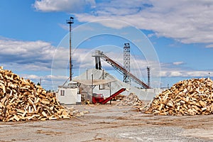 Pile of firewood lies on concrete outdoor