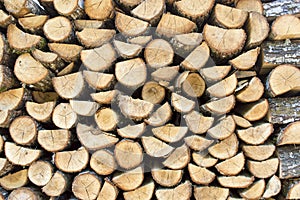 Pile of firewood logs