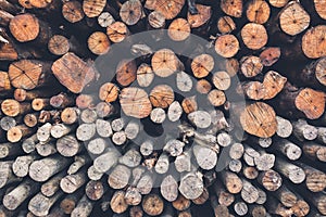 Pile firewood prepared for fireplace