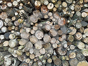 Pile of firewood prepared for winter. Heap of dry wooden logs. Wooden texture
