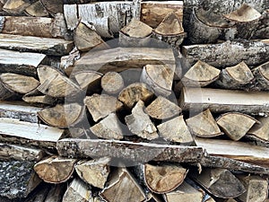 A pile of firewood is stacked. Cut down trees lie in one heap. Material for fire and heating. Birch and oak firewood, lumber