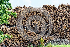 Pile of firewood stacked outside. Big pile of logs on a blue sky background