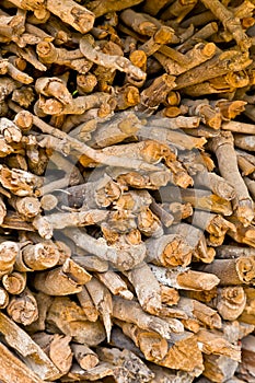 The pile of firewoods