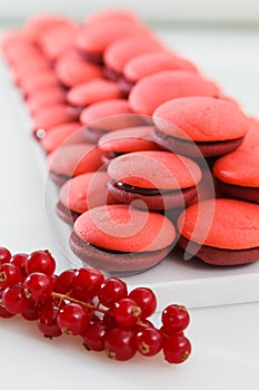 Pile of forest fruits marron cookies photo