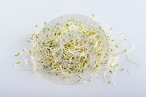 Pile of fresh alfalfa sprouts on white background. Healthy diet superfood and micro green eating concept