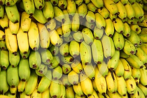 Pile of fresh bananas