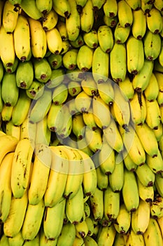 Pile of fresh bananas