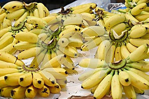 Pile of fresh bananas