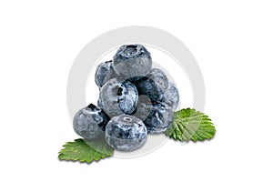 Pile of fresh blueberry and green leaves isolated on white background