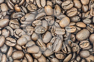 A Pile of Fresh Coffee Beans