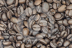 A Pile of Fresh Coffee Beans