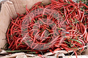 Pile of fresh curly red chilies in a basket, at a traditional market