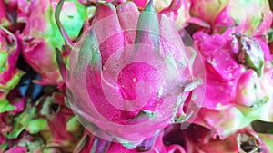 pile of fresh dragon fruit for sale in a fruit shop