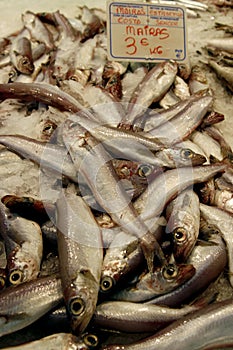 Pile of fresh fish at the Spanish market