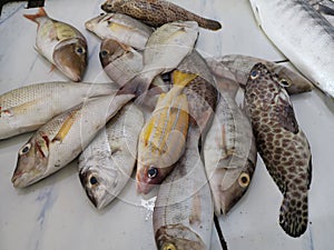 A pile of fresh fish at wet market.