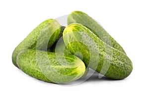 Pile of fresh gherkins