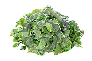 Pile of fresh green baby spinach leaves isolated on white background