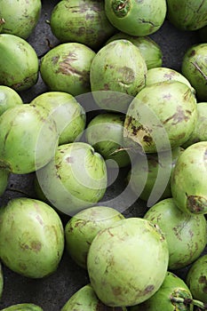 Pile of Fresh Green Coconuts