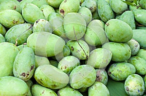 Pile of fresh green mango fruit in market