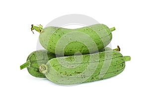 Pile of fresh green sponge gourd or luffa isolated on white