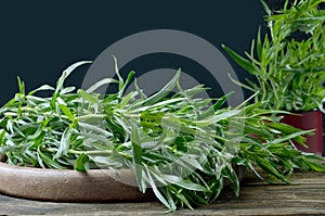 Pile of fresh green tarragon - Artemisia Dracunculus, in a clay plate on an old wooden background in a rustic style, selective