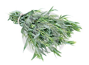 Pile of fresh green tarragon - Artemisia Dracunculus on an isolated white