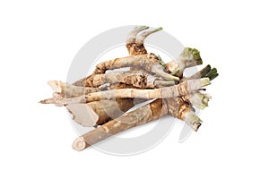 Pile of fresh horseradish roots isolated on white