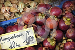 Mangosteen photo