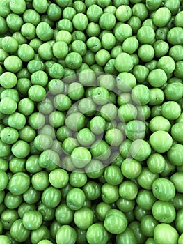 Pile of fresh mature green olives