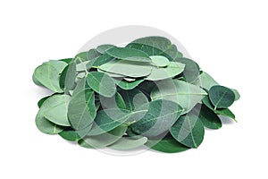 Pile of fresh moringa leaves isolated on white