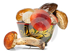 Pile of fresh mushrooms