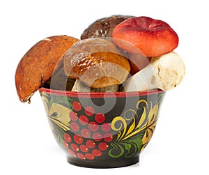 Pile of fresh mushrooms