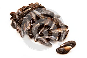 Pile of Fresh Mussels, Isolated