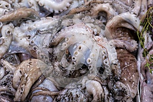 Pile of fresh Octopus at a London fishmongers stall