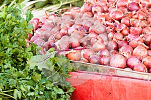 Pile of fresh onions produce market