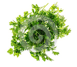 Pile of fresh parsley isolated on white background