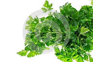 Pile of fresh parsley isolated on white background