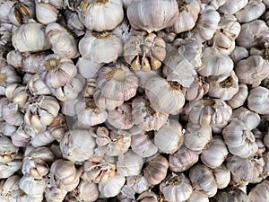 pile of fresh peeled garlic at the farmer& x27;s market.  background abstract.  nature background.