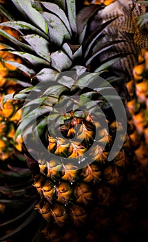Pile of fresh pineapples sits in the center, invitingly ripe and ready to be enjoyed