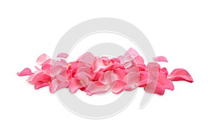 Pile of fresh pink rose petals on white background